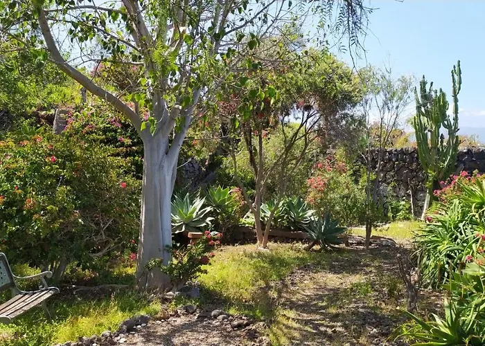 Willkommen Im Paradies - Welcome In Paradise - Bienvenidos Al Paraíso *