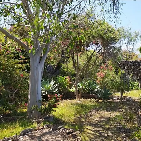 Willkommen Im Paradies - Welcome In Paradise - Bienvenidos Al Paraiso *